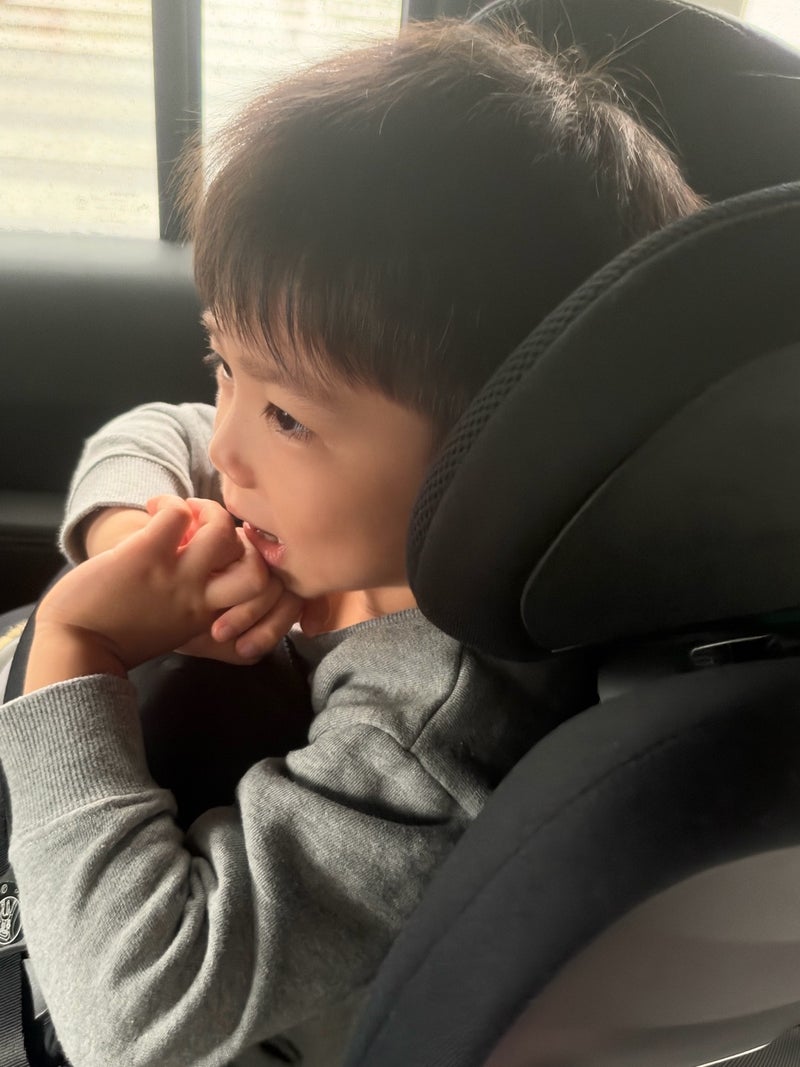 だいた 雨で息子と向かった室内の画像