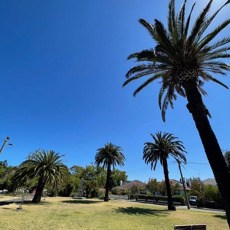 原田龍二の妻 やっと終わった書類整理の画像