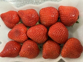 また一つ届いた不合格の通知の画像