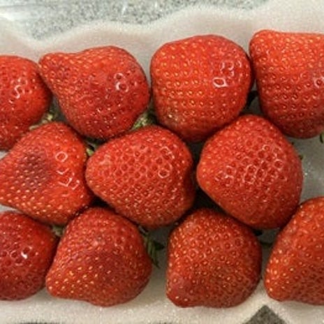 また一つ届いた不合格の通知の画像