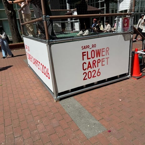 堀ちえみの夫 札幌の花のカーペットの画像
