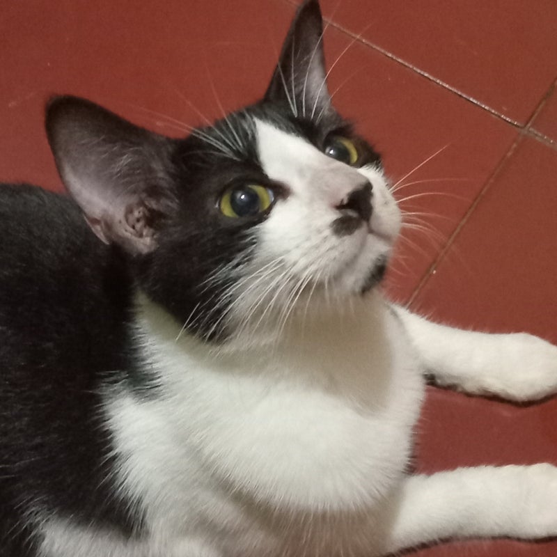 ようやく受け取った恒例のボーナスの画像