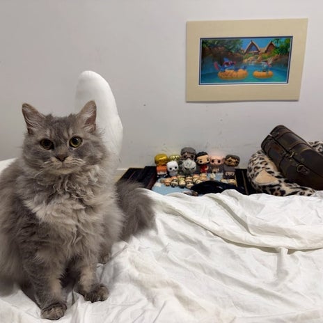 川崎希 毎日欠かさずお世話する息子の画像