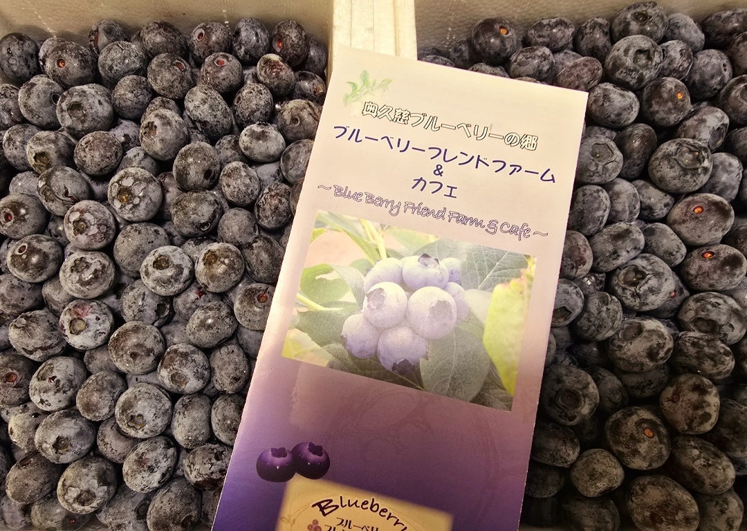 高橋英樹妻から送られてきた写真