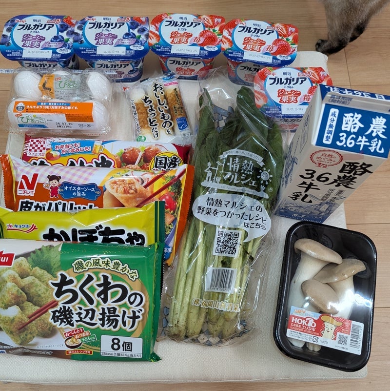 合計1,911円だった控えめなまとめ買いの画像