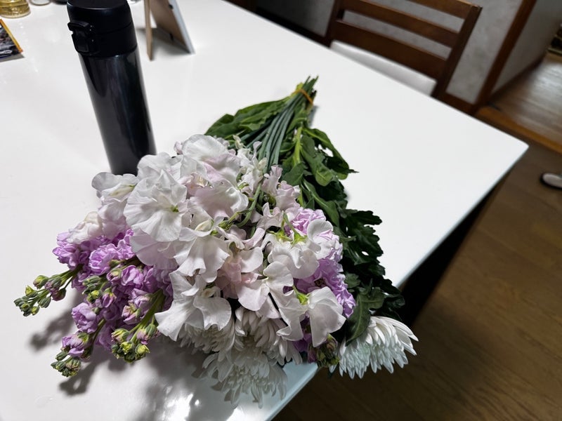 ぷちあや 両親と娘と立ち合い火葬への画像