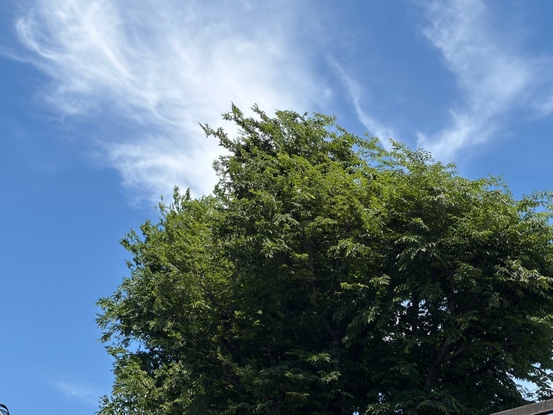 桃の母 ゆで卵の簡単な皮むき法の画像