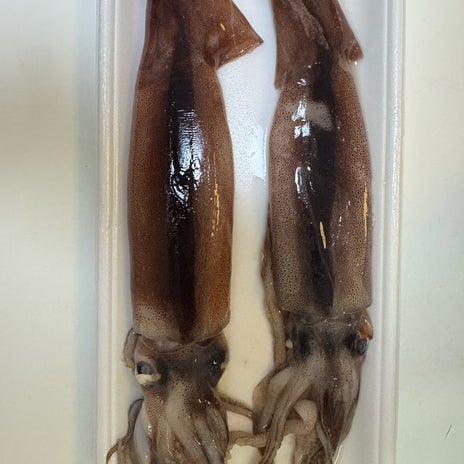 熊田曜子 焼肉屋の味を真似た品の画像