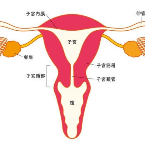 たらい回しの末やっと判明した病名の画像