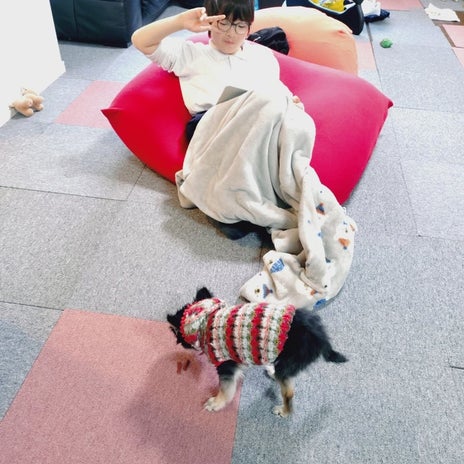 山田花子 おやつを貰った愛犬の画像