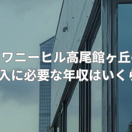 年収800万円以上が目安の戸建て購入の画像