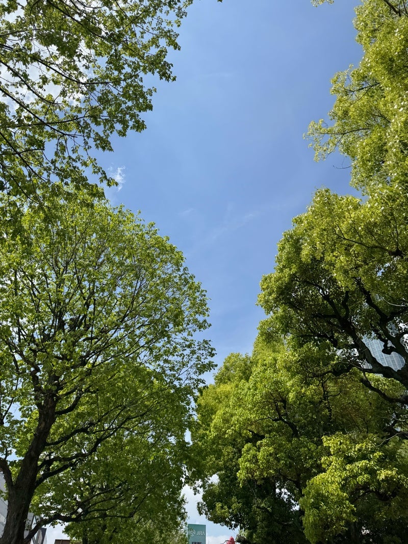 震えながら開けた障害年金の結果の画像