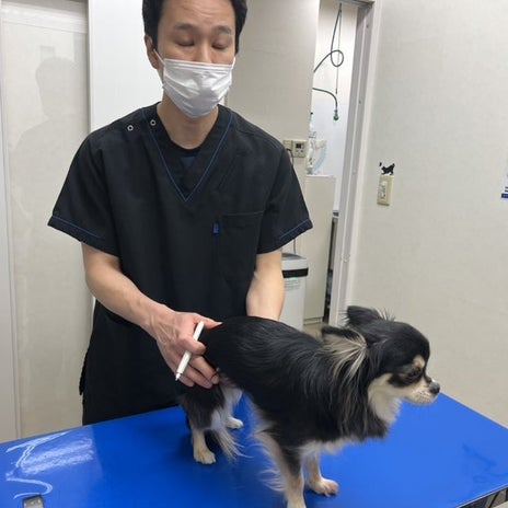 高橋英樹 お腹を下し通院した愛犬の画像