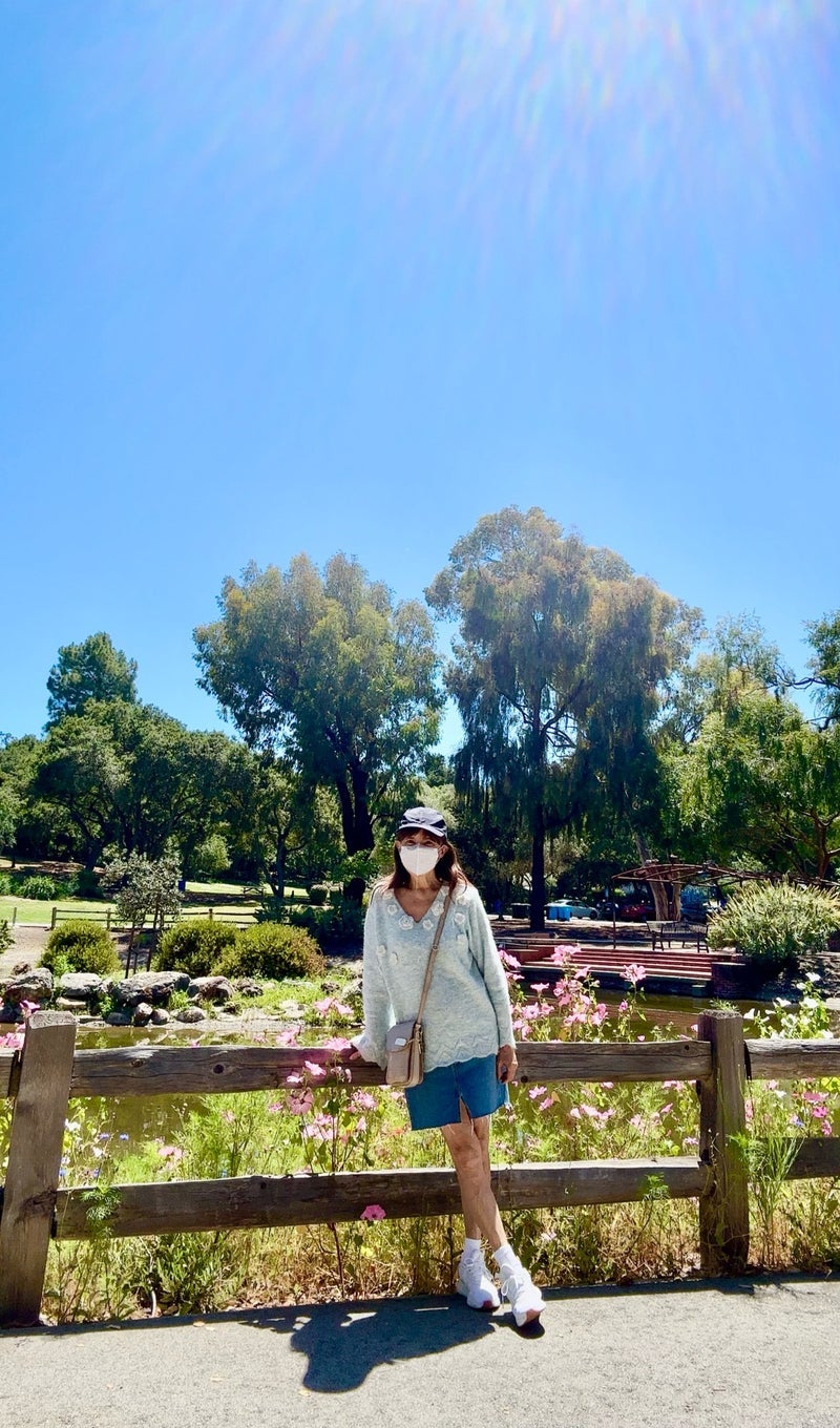 アグネス とても綺麗だった公園の花の画像