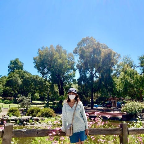 アグネス とても綺麗だった公園の花の画像