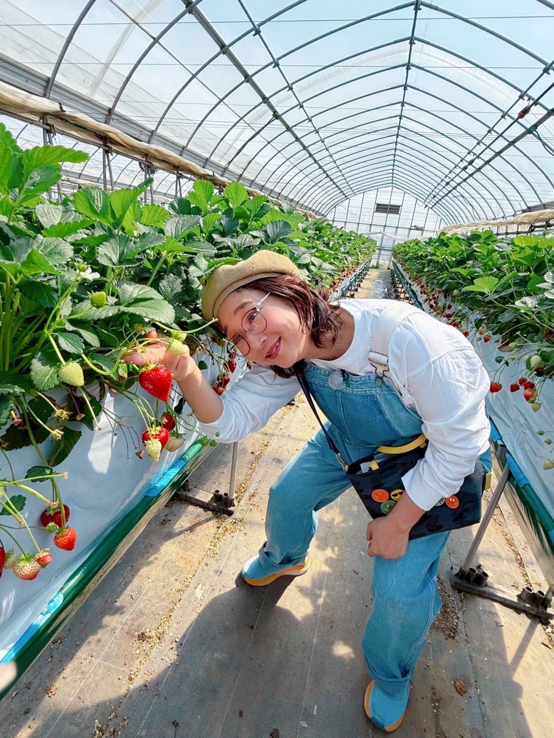 北陽・虻川 凄く美味しかった苺