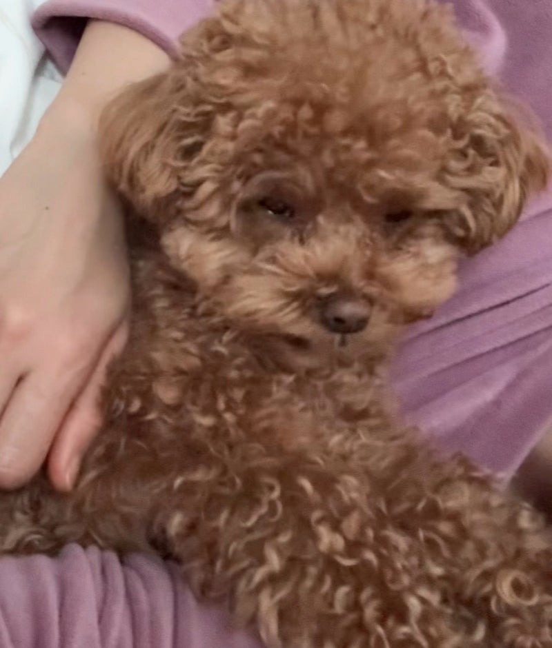 旅行中も寂しがらず楽しむ頼もしさの画像