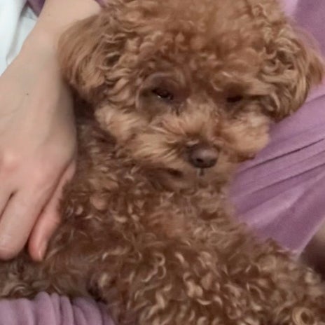 旅行中も寂しがらず楽しむ頼もしさの画像