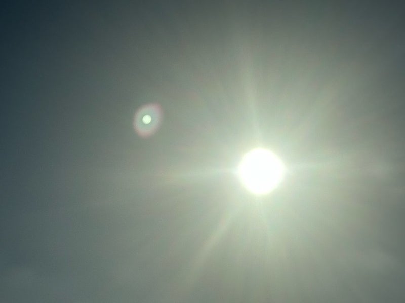 田中健 頂いた八女茶と春の菓子の画像