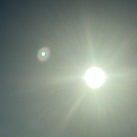 田中健 頂いた八女茶と春の菓子の画像