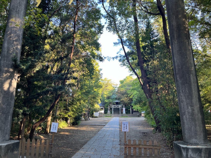 誰にでもやってくる天中殺の期間の画像