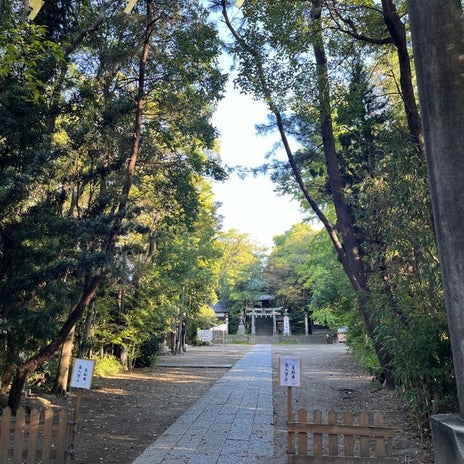 誰にでもやってくる天中殺の期間の画像