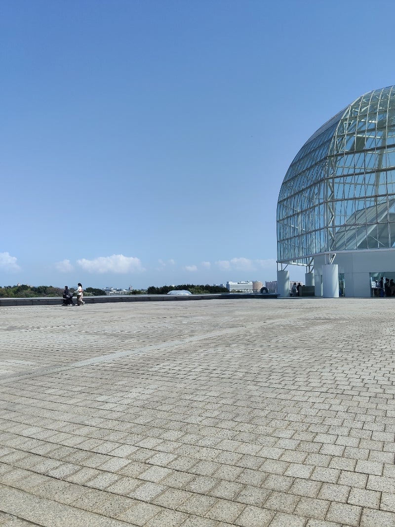 家中探しても出てこなかったシールの画像