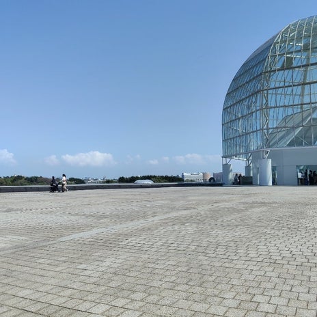 家中探しても出てこなかったシールの画像