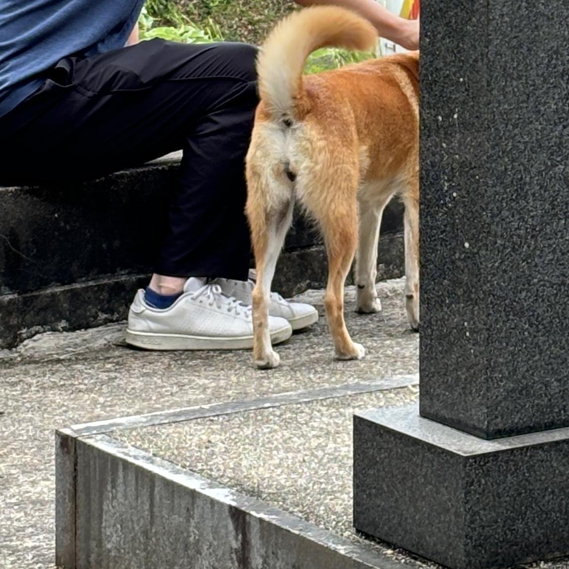 突然亡くなった母にできた親孝行の画像