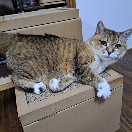 亡くなってから知った夫の財産の画像