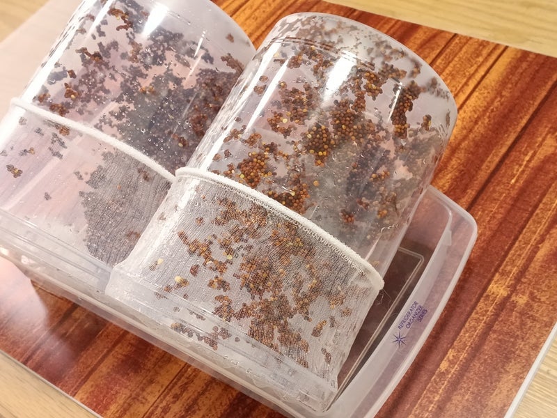 旦那が買った意味ない受験の本の画像