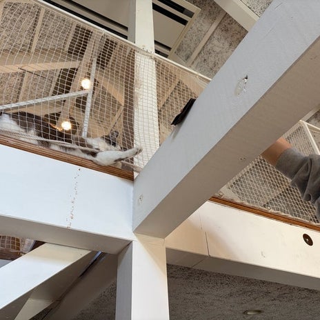 ストレスで旦那が3回目の帯状疱疹の画像