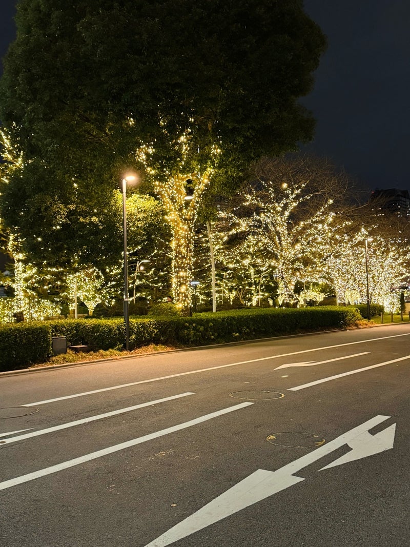 だいた 綺麗でも気になる電気代の画像