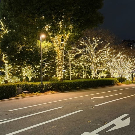 だいた 綺麗でも気になる電気代の画像