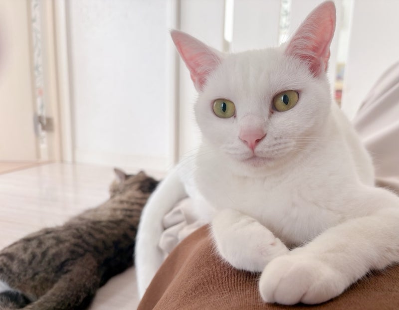 しんどい人間関係での心の線引きの画像