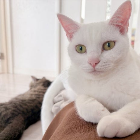 しんどい人間関係での心の線引きの画像
