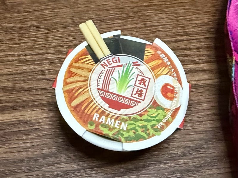 芽が出て忘れていた栽培の感動の画像