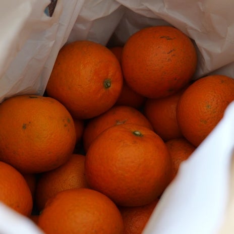 亡き妻が世界一うまいと言った果実の画像