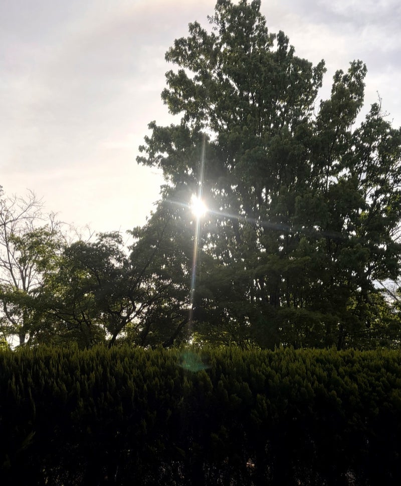 古村 ブログ投稿できず三度目の正直の画像