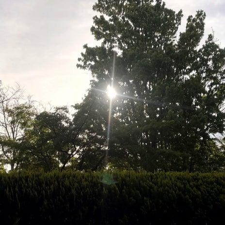 古村 ブログ投稿できず三度目の正直の画像