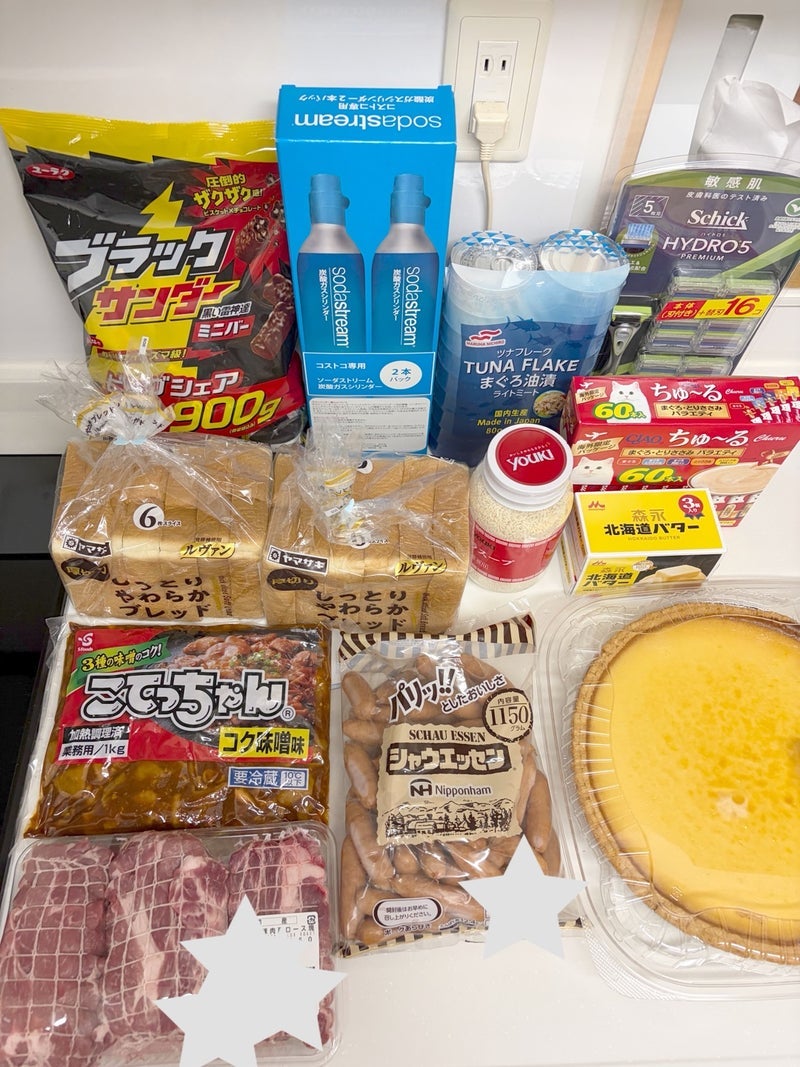 少なめに選んだコストコでの合計金額の画像