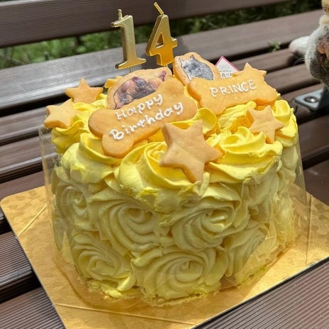 遼河はるひ 渡した誕生日ケーキの画像
