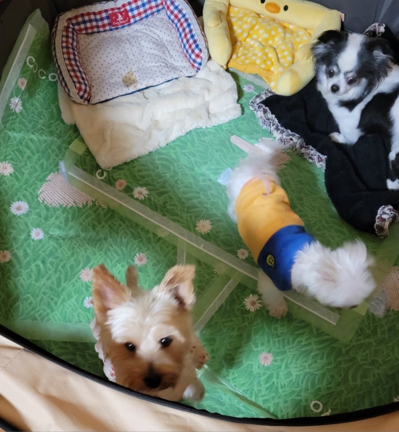 トピックス画像