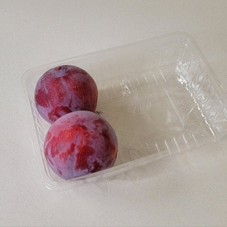 モト 妻も食べた酸っぱすぎるプラムの画像