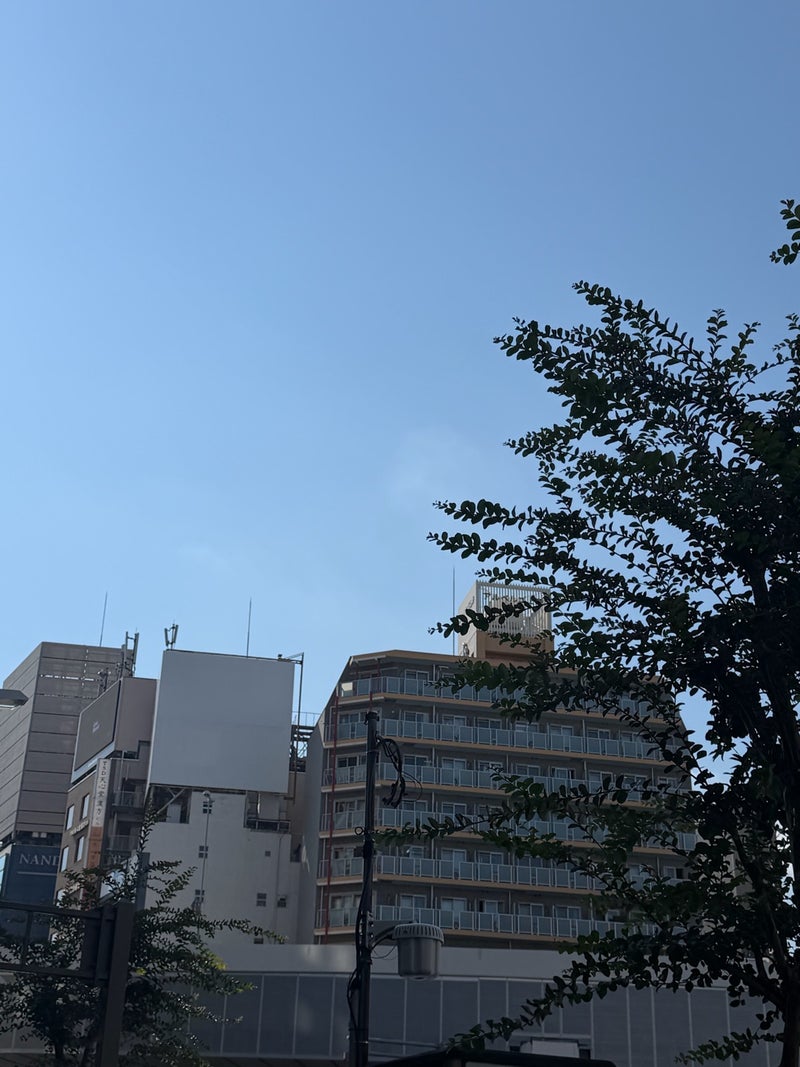 堀ちえみ 自覚以上の身体のガタガタの画像