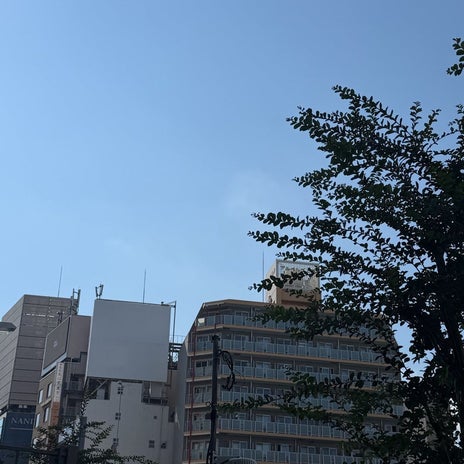 堀ちえみ 自覚以上の身体のガタガタの画像