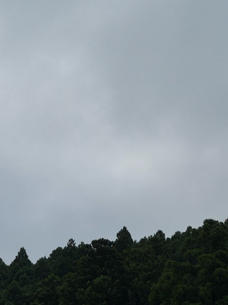 だいた 静岡県の部屋からの景色の画像