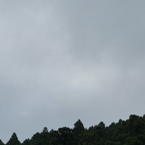 だいた 静岡県の部屋からの景色の画像
