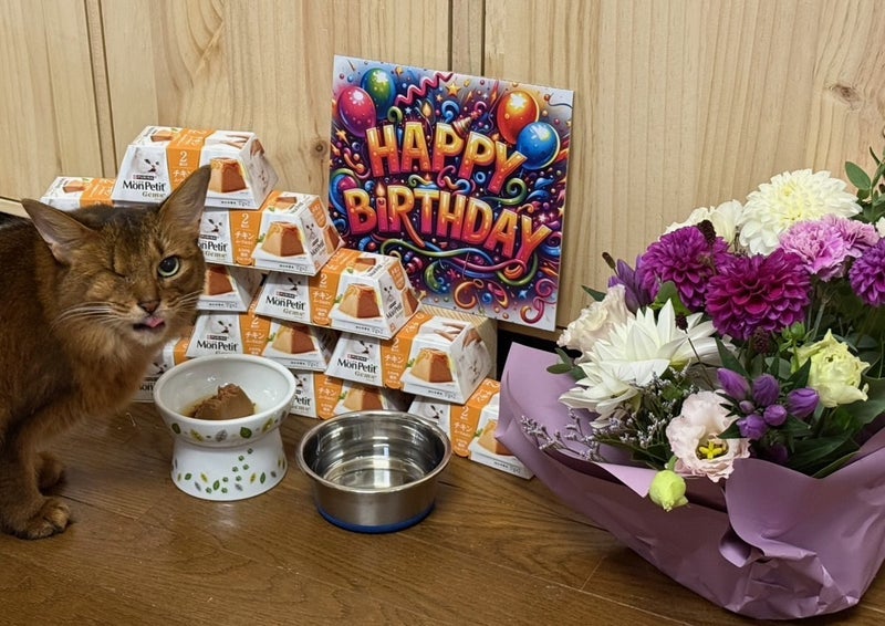 猫可愛がりされている我が家のネコの画像