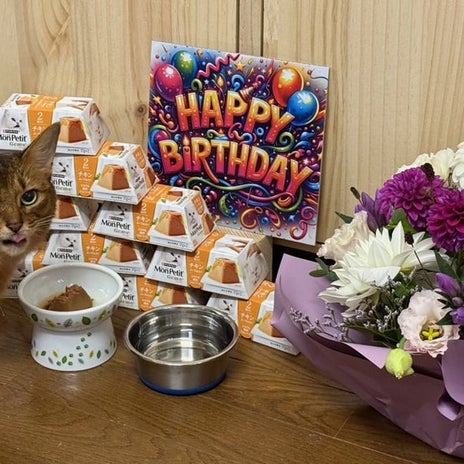 猫可愛がりされている我が家のネコの画像